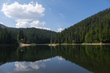 Fototapeta na wymiar Synevir high altitude lake and forest is reflected in calm water at summer day