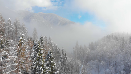 AERIAL: Beautiful view of forest covered mountain on a foggy day in winter.