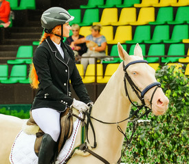Beautiful girl and horse in jumping show, equestrian sports. Isabelline Akhal-Teke mare with blue...
