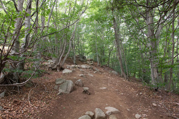 Subiendo al Matagalls desde Sant Mar&ccedil;al