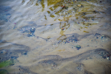 Photo of the picturesque banks of a river in a forest in nature.