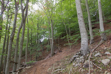 Subiendo al Matagalls desde Sant Mar&ccedil;al
