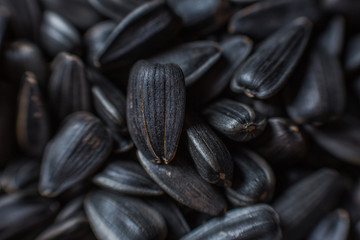 sunflower seeds close-up. macro mode