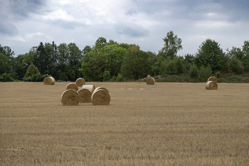 Hay bales on the field