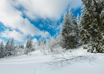 Naklejka premium Winter mountain snowy landscape