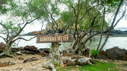 Rocks and ocean, asian beach