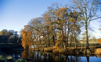 river avon warwickshire england uk autumn