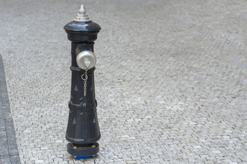 Fire hydrant in the street with paving stones