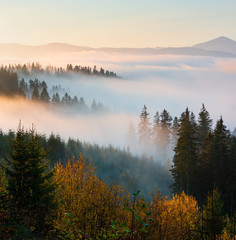 Autumn Carpathians, Ukraine.