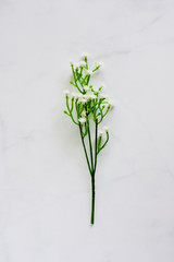 Small artificial plant for decoration on white marble background (Vertical image)