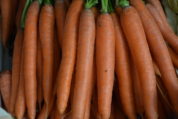 bunch of fresh carrots