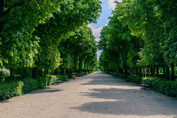alley in the park