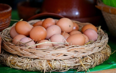 fresh chicken eggs with nest