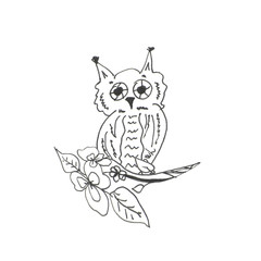 owl on white background