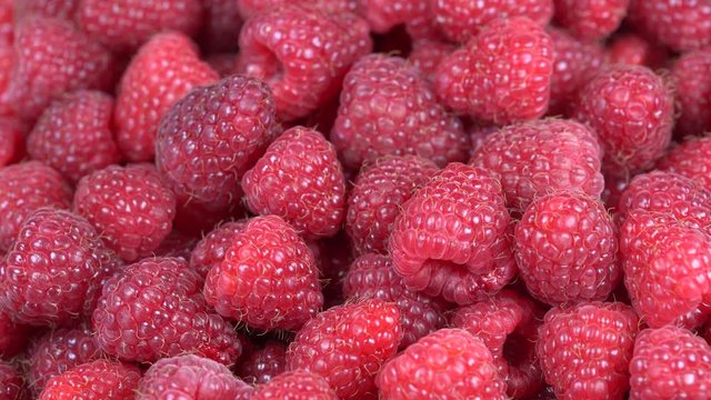 Fresh, ripe, juicy raspberry background, close up berry, rotation loopable 4k top view. Food  background. Gastronomy concept, organic food. Macro red raspberries fruit