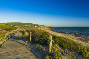 Footbridge on the beach