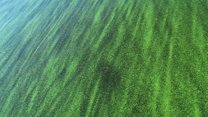 Beautiful green background on water.