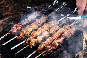 Barbecue skewers  on the brazier