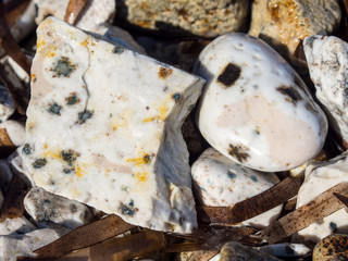 Schwarz weisse Steine an einem Strand von Elba