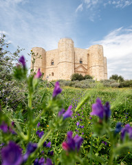 Castel del Monte Puglia flowers foreground