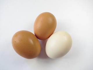 Chicken eggs on white background