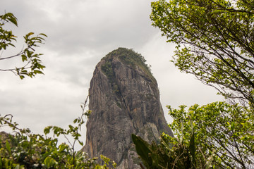 of the trunk stone track in são paulo