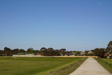 Green grass field during sunny day with blue sky