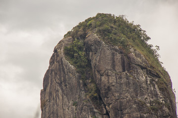 of the trunk stone track in são paulo