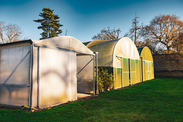 polytunnels market garden plant nursery
