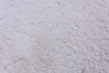 Texture of styrofoam sheet for the background