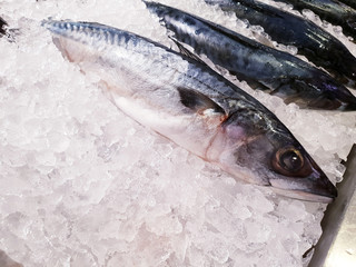 saba fish frozen in ice at supermarket