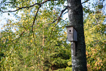 birdhouse on tree