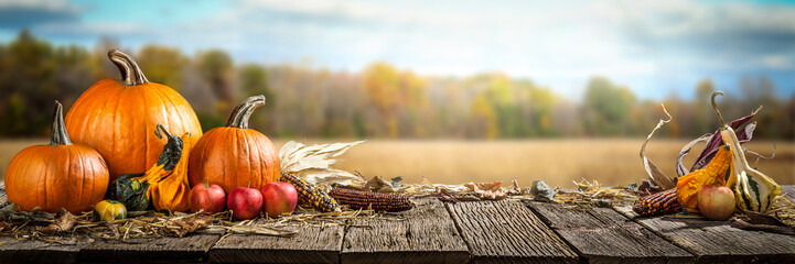 Fototapeta Thanksgiving With Pumpkins  Apples And Corncobs On Wooden Table With Field Trees And Sky In Background obraz