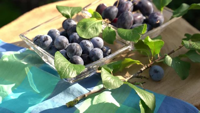 Zwei Glas Schalen zeigen einen Vergleich von Pflaumen und Zwetschgen. Die Fr&uuml;chte drehen sich auf einer Baumscheibe. K&uuml;hle Farben.