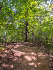 Bieszczady Mountains, Poland