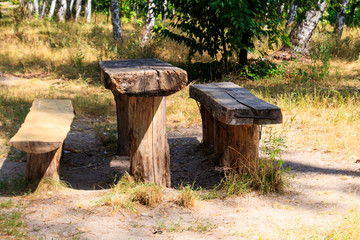 Picnic site in birch grove. Wooden table and benches in birch forest