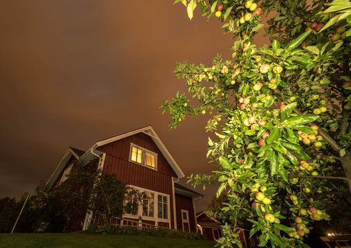long exposure night photo of traditional red wooden swedish house and dark heavy clouds with apple tree