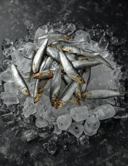 Fresh raw sprats, organic fish on ice