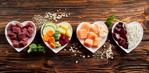 Wall murals Food Panorama of healthy fresh ingredients for pet food