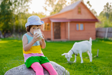 little girl drinks useful goat's milk at a house in a village in Russia in the summer on vacation. Lactose. Ecological natural product