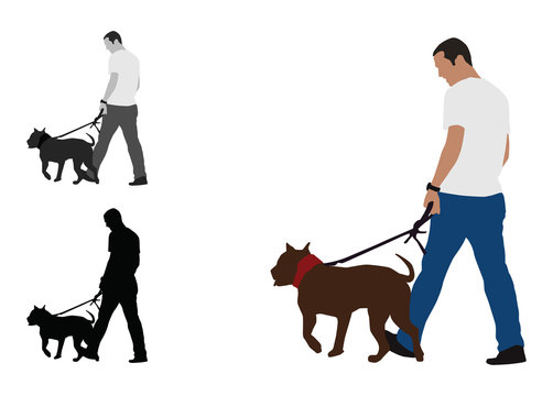 Realistic colored illustration of a man walks a staffordshire bull terrier dog