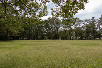 Fototapeta na wymiar Murakami Green Space Park in Yachiyo City, Chiba Prefecture, Japan