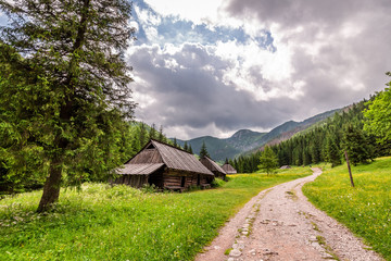 Fototapeta na wymiar Sunny footpath in Tatras Mountains with wooden cottages, Poland