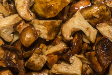 Wet raw sliced brown mushrooms background texture. Small pieces of mushrooms, close-up