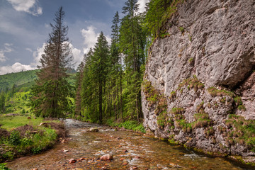 Wonderful small stream in Koscieliska valley in Tatra Mountains