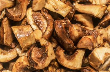 Wet raw sliced brown mushrooms background texture. Small pieces of mushrooms, close-up