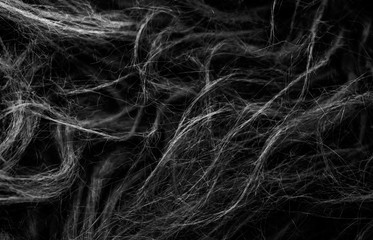 Black soft natural animal wool texture background. Skin wool. Close-up texture of dark fluffy fur. Gray plush