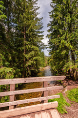 Beautiful footpath with bridge in Koscieliska valley, Poland