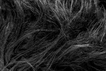 Black soft natural animal wool texture background. Skin wool. Close-up texture of dark fluffy fur. Gray plush