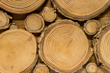 Cut tree cracked stump surface texture. Cutting a cross-tree with annual rings background, decorative wooden board with a pattern